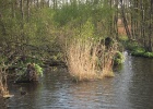 Picture 037